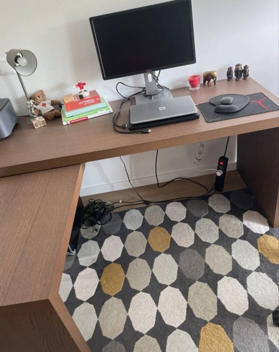 Secretaria castanha