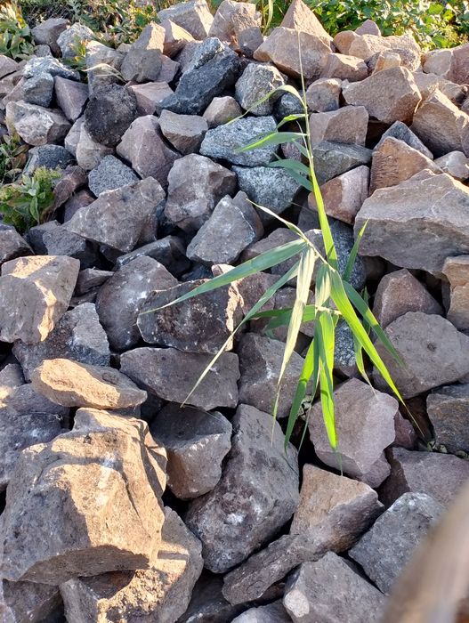 Гранитный камень для декора сада.