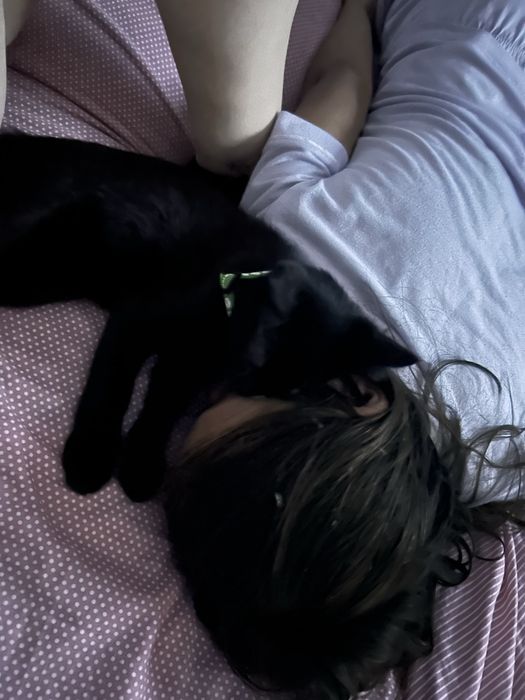 Dou gatinho bebe