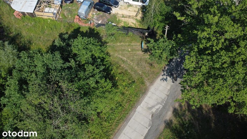 Myślisz, że 60 zł/m2 za las to oszustwo?