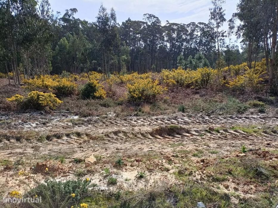 Terreno Serra do Bouro-Caldas da Rainha