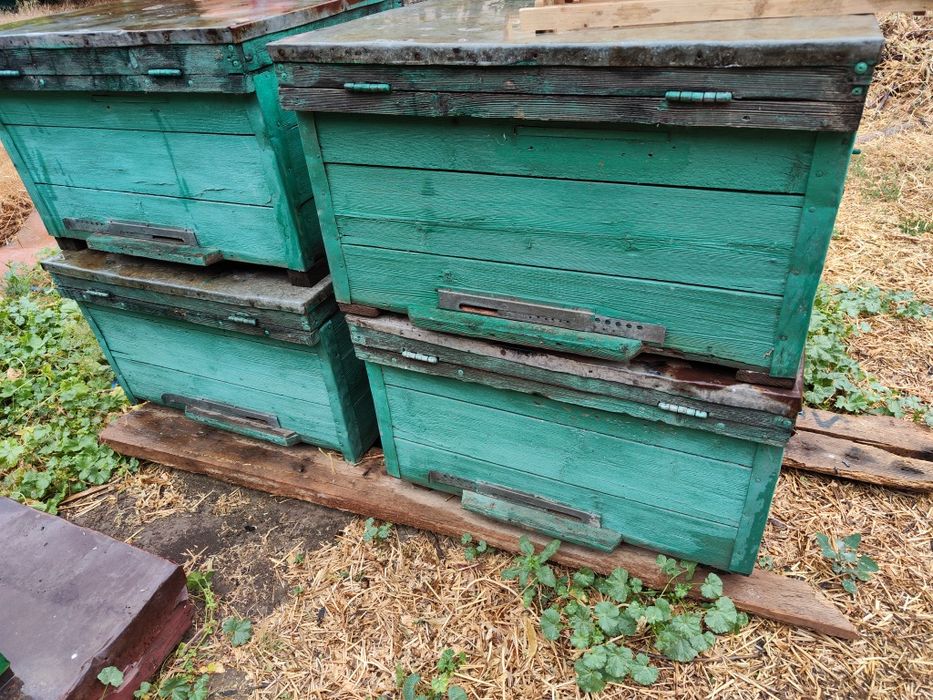 Улья лежаки в хорошем состоянии