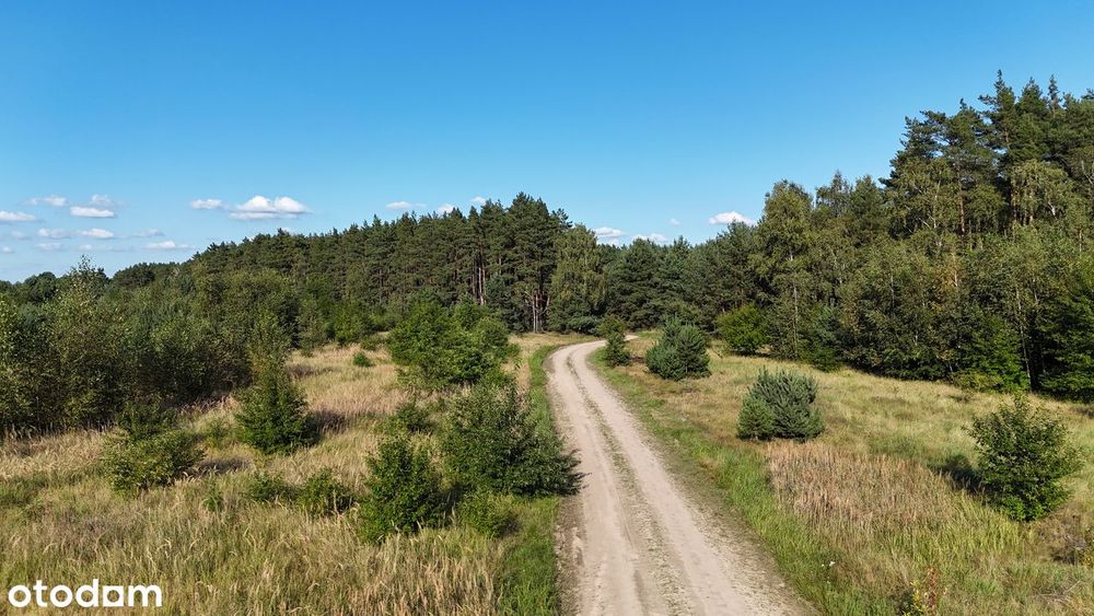 Działka budowlana w otulinie lasu, blisko zalewu, bezterminowe WZ. - Widok 5