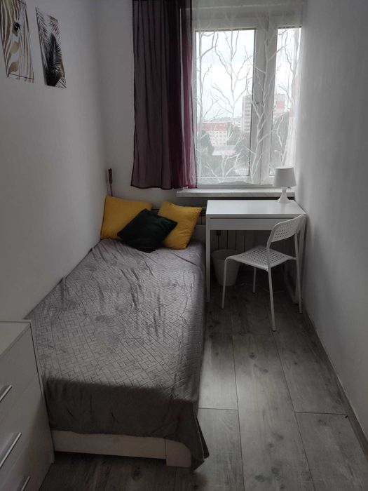 Pokój jednoosobowy w Katowicach - ul. Modrzewiowa, Bogucice