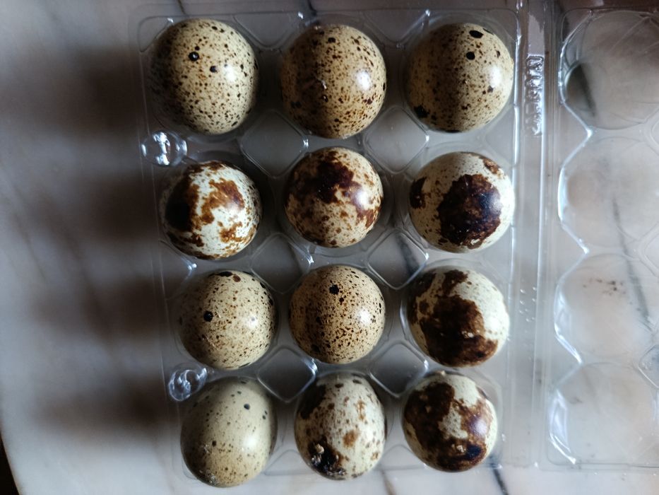 Ovos de codorniz galados chinesa