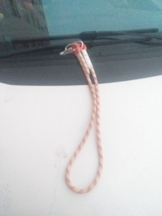Arnês dorsal usado