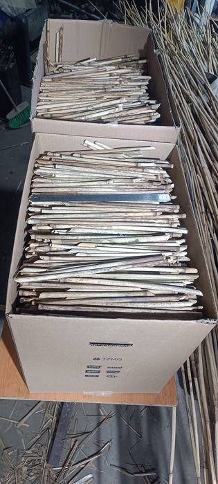 Trzcina pszczoła murarka domek dla pszczół owadów