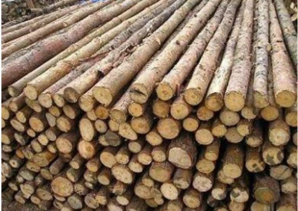 Stemple, Paliki, Słupki, Okrąglaki NEW 3m- 3,5, 4m, 2,6m Trans. Gratis