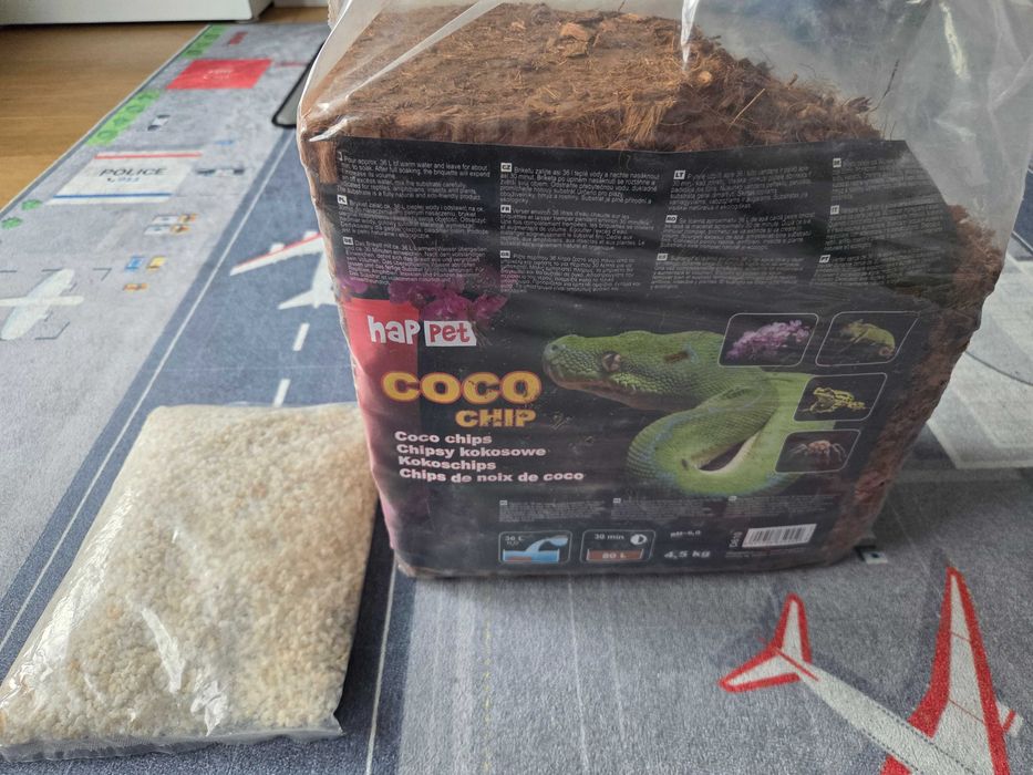 Krab pustelnik z terarium i akcesoriami