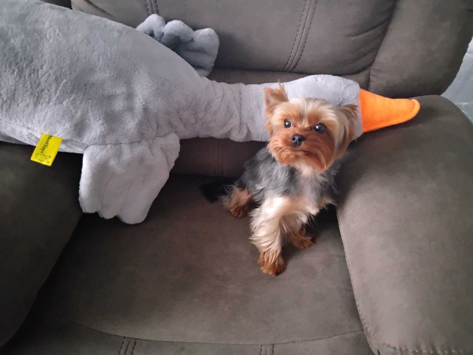 Мальчик для вязки1