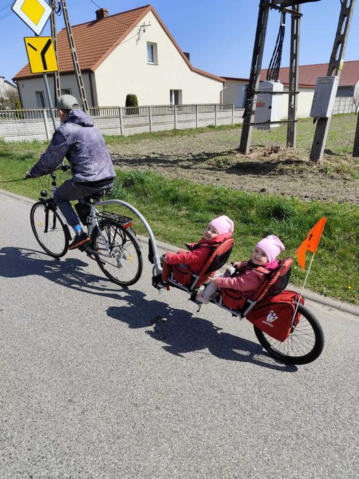 Przyczepka rowerowa Wehoo 2