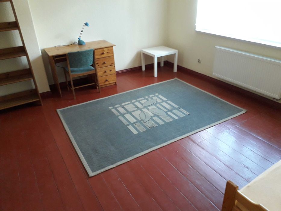 Jeden (dwa) duży jasny pokój  dla młodej   kobiety/studentki.