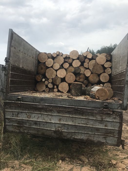 Дрова сосна осика береза вільха дуб граб