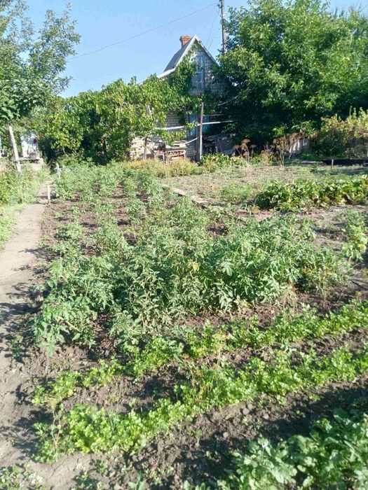 продам дачу в тернах