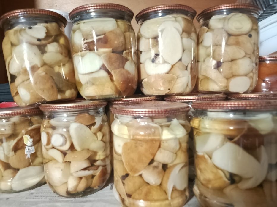 Гриби мариновані білі