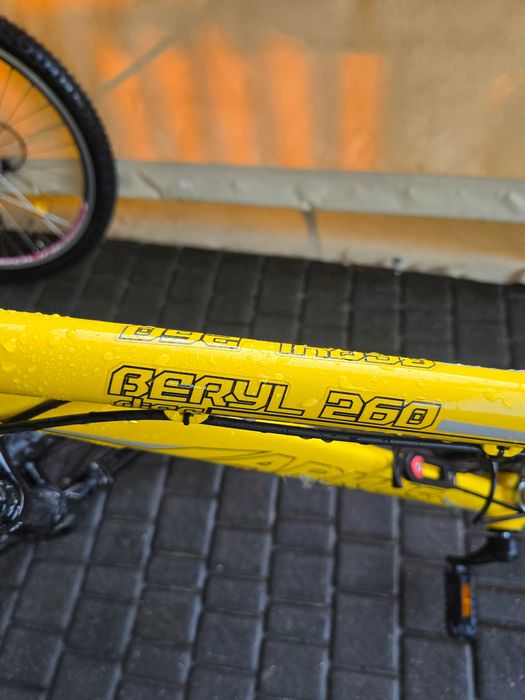 Rower arkus beryl 260