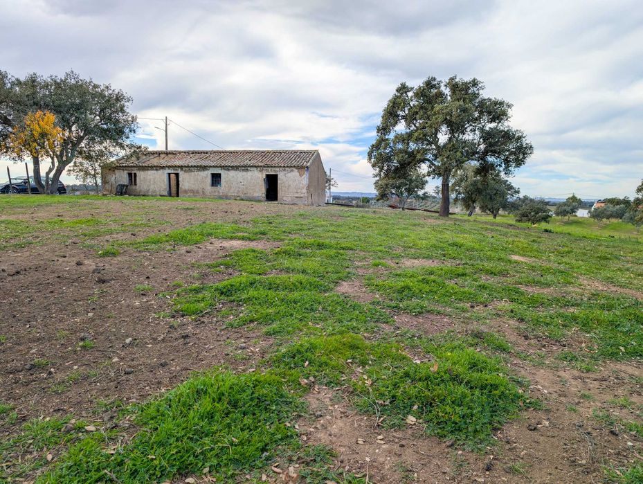 Propriedade única com a possibilidade de construção até 500 m²