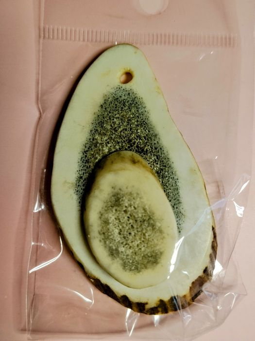 WISIOR  Róg Jelenia   po babci