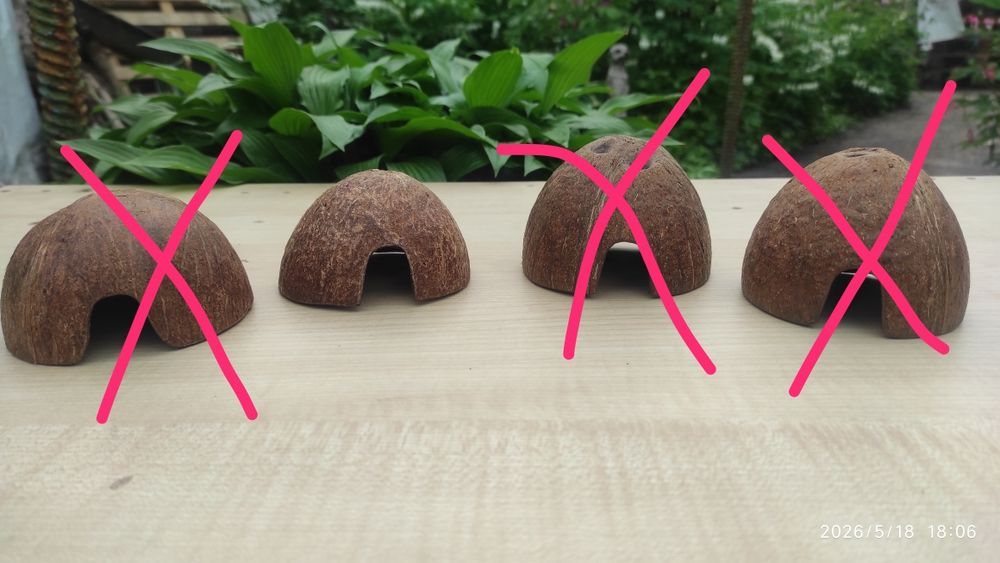 Кокосовий будиночок для акваріума