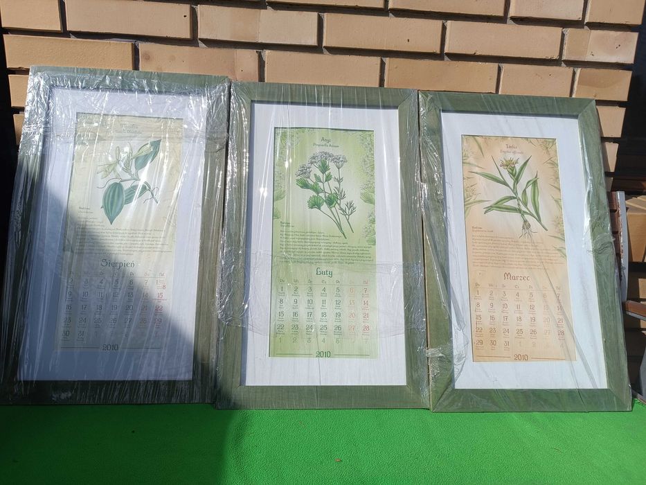 Obraz zioła natura 6 szt