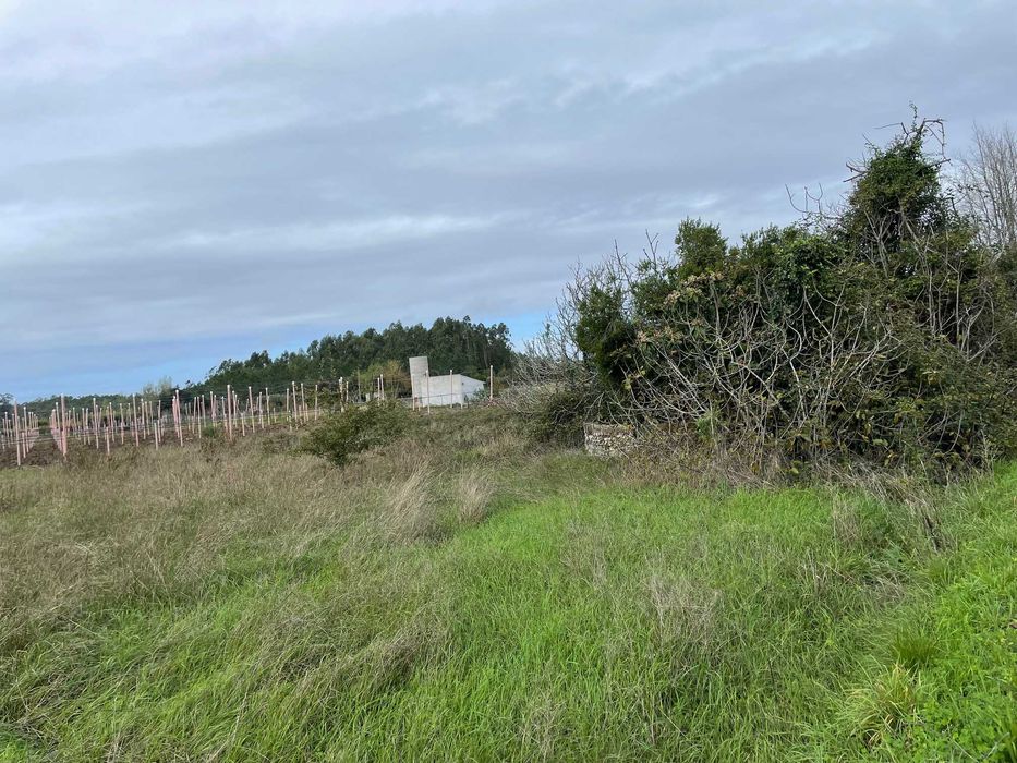 vende-se terreno FONTE DE AREIA com 1490m2 com poço