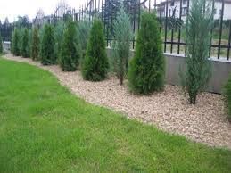 Wycinka drzew, prześwietlenie, pielęgnacja ogrodów prace w ogrodzie