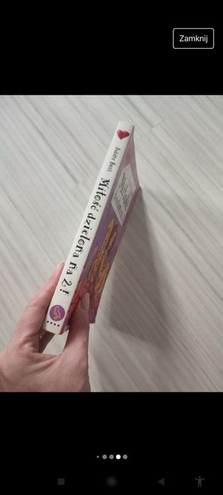 książka Miłość dzielona na 2 Sabine Both