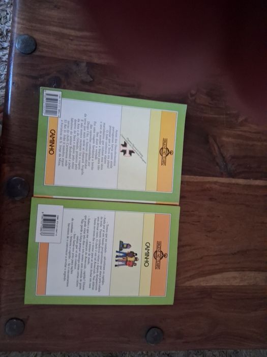 Conjunto de 2 livros juvenis da coleção viagens no tempo
Volume 5 e 12
Autoras Ana Maria Magalhães e Isabel Alçada