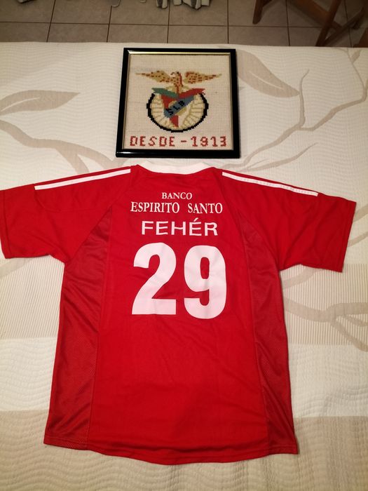 Quadro e camisola do Benfica