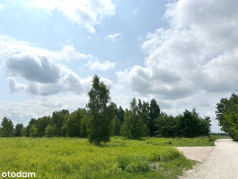 Działka budowlana z mediami w spokojnej okolicy - Widok 3
