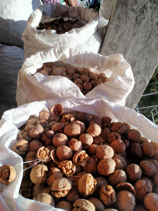 горіхи волоські бойний