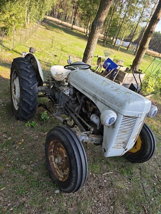 Ferguson TEA 20 - sprawny, oryginalny, nowe opony Bysław • OLX.pl