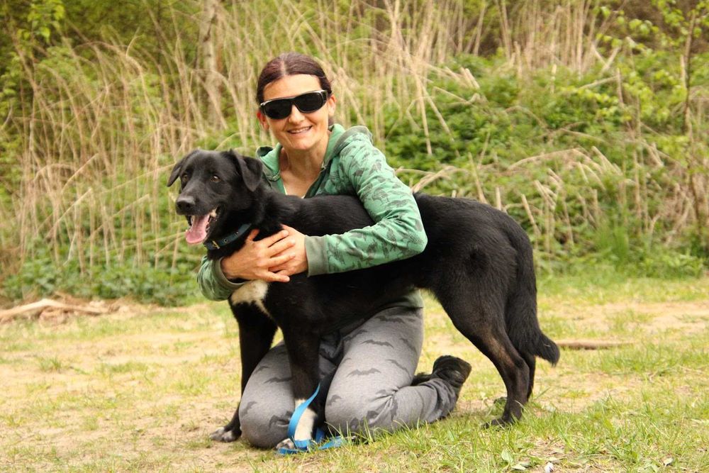 JOGIN - przyjazny, łągodny, wesoły. [FILMIKI]