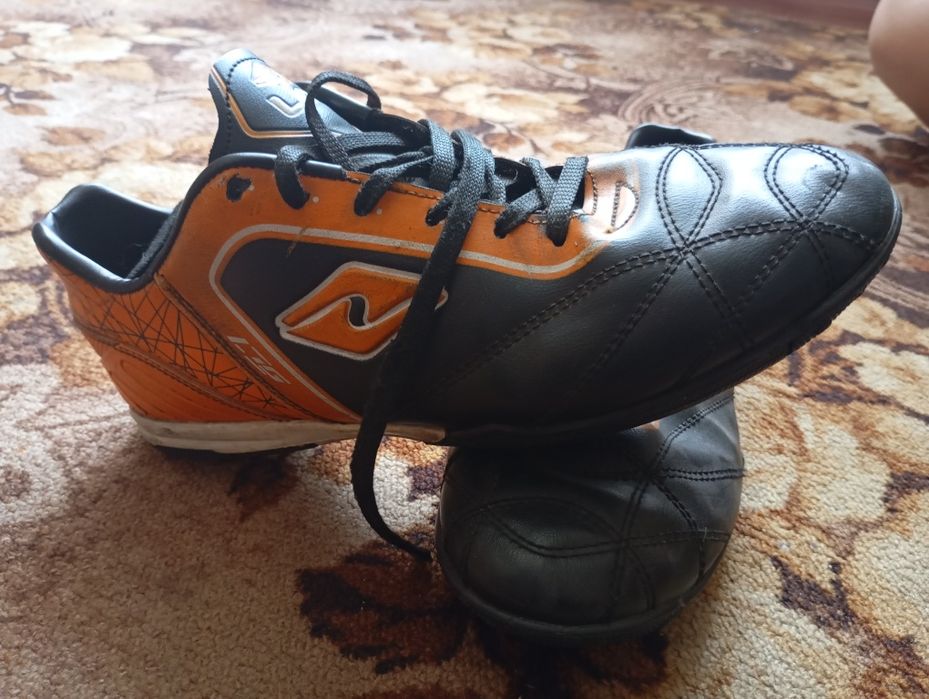 Сороконіжки Lion