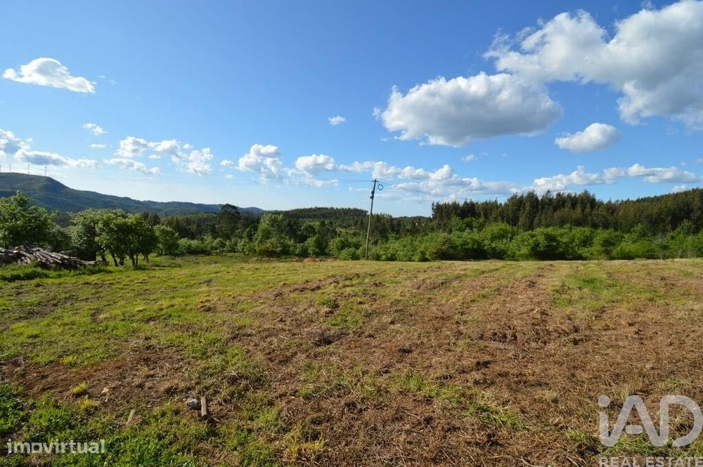 Terreno para construção em São Miguel, Santa Eufémia e Rabaçal