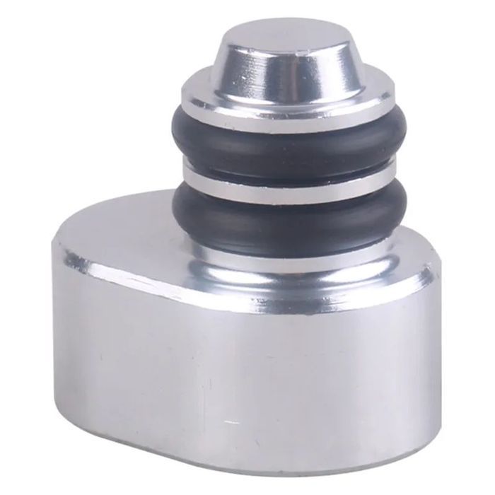 Remoção Borboletas admissão BMW 2.5 3.0 3.5 4.0 Motores - N57 N57S