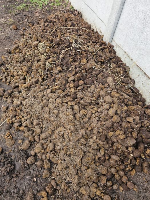 Obornik konski bez slomy