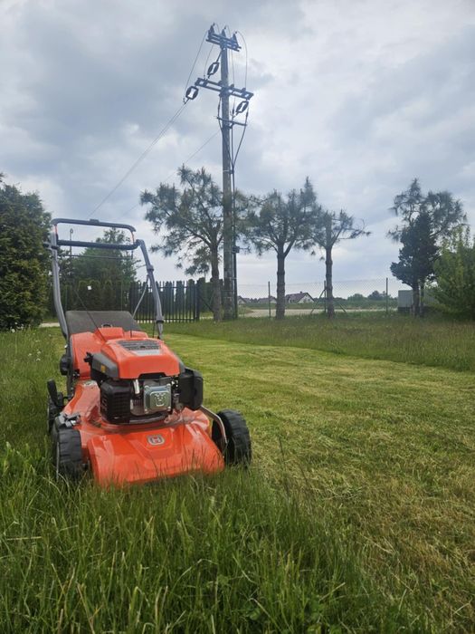 Szeroki zakres ogrodnictwa,koszenie traw i wywóz, ścinanie żywopłotu