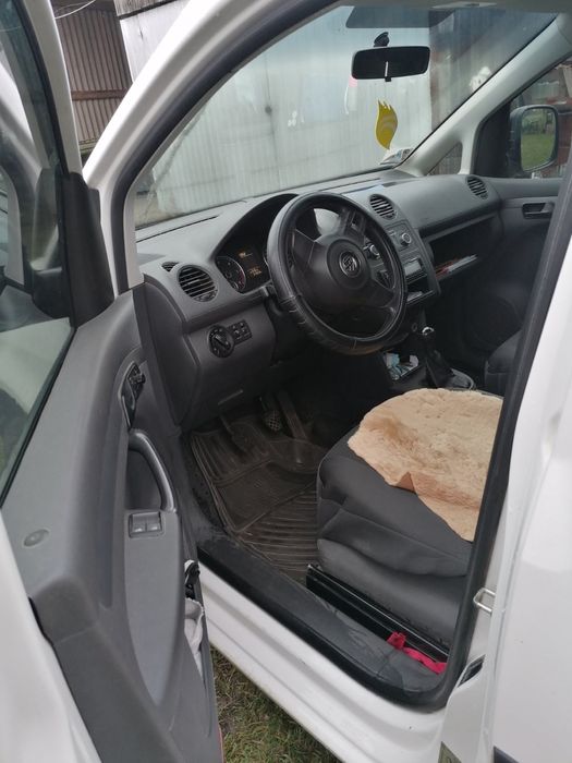 Caddy maxy кадді каді