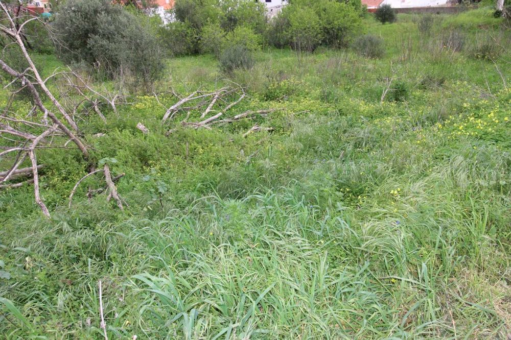 Terrenos Urbanos nas Portelas