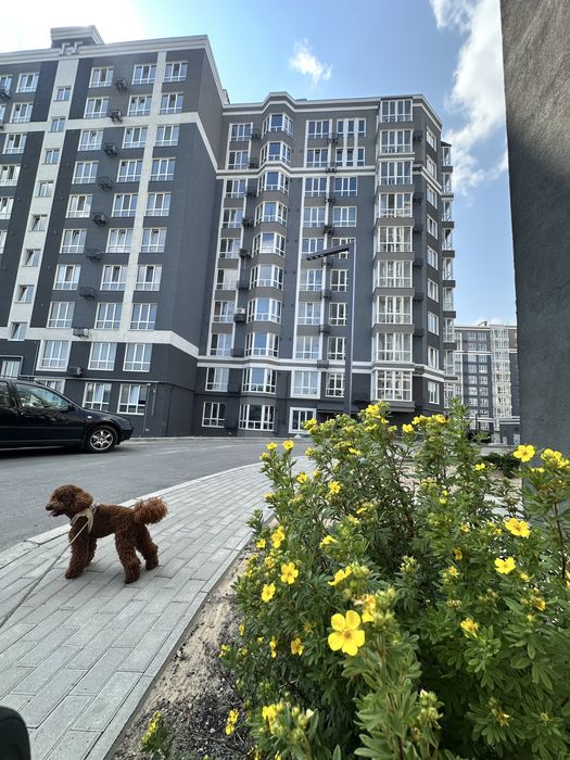 Продаж 1-кімнатна квартира вул. Лісова, 42в