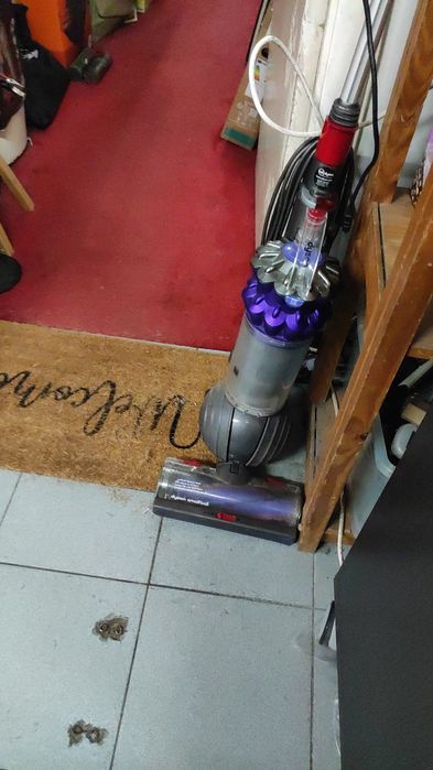 El language de Los perros, Las señales de calma - Turid Rugaas