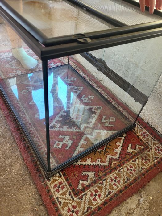 Terrário exoterra 60x45x45cm (ideal para dragão barbudo)