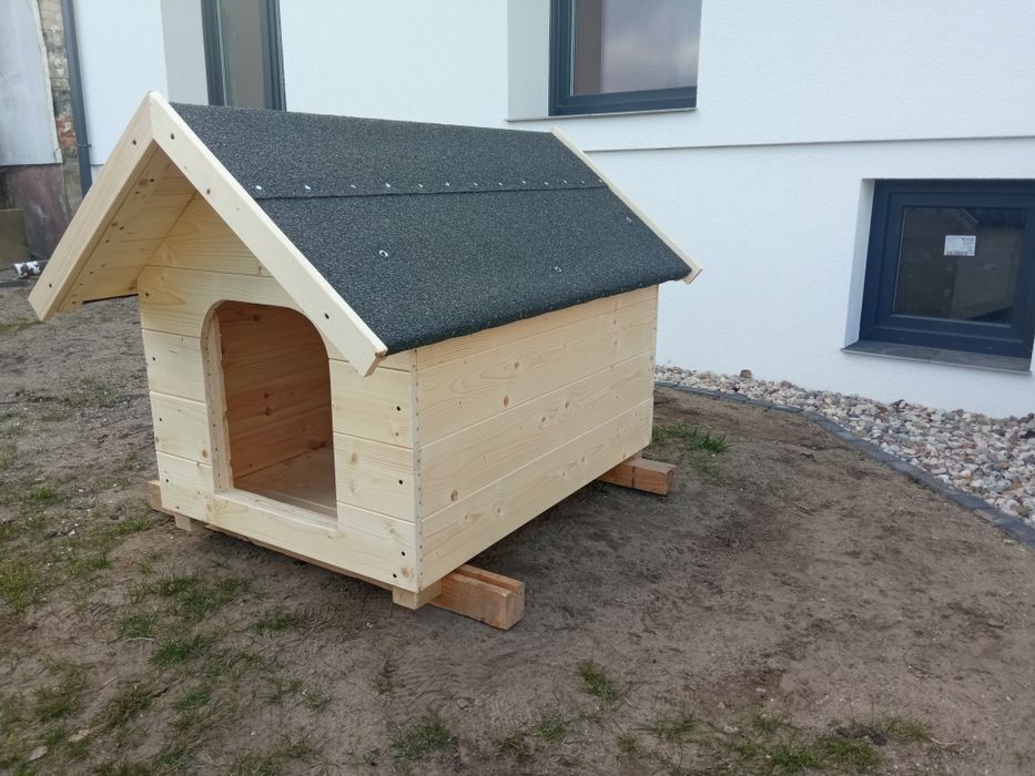 Duża nowa buda dla psa