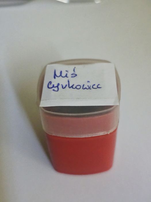 Bajka na rzutnik Miś cyrkowiec Bajki magnetofonowa kliszach retro prl