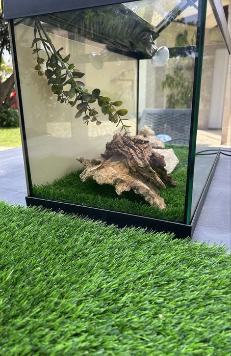 Terrário para Répteis 62x36x31 cm – Completo com 2x tapete sintentico e como novo