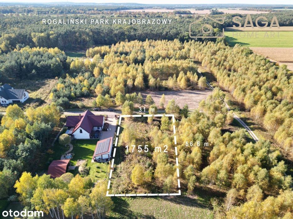 Działka Bud. Przy Lesie: 1755m²/Rogalin/Mpzp/Media