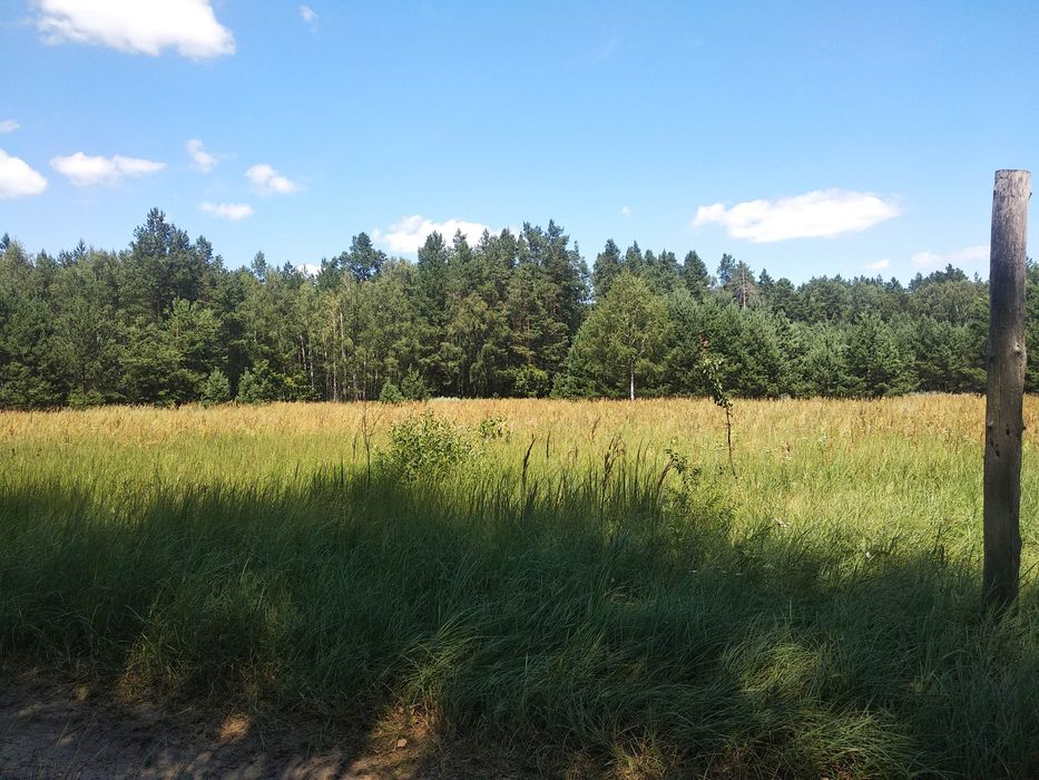 Продам участок в кооперативі Букач