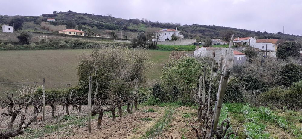 Quinta pequena- Sobral de Monte Agraço