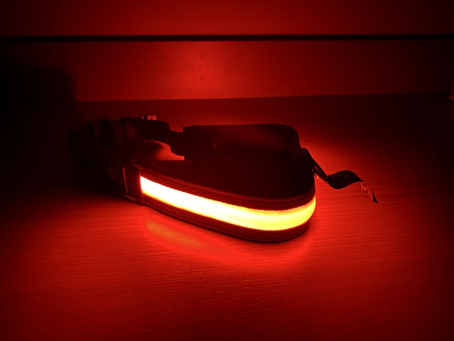 Світлодіодний нашийник для собак Zoofari розмір L